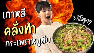 [Eng] Making 30 servings with only 15$? Thai food Pad kra pao