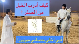 كيف أدرب حصاني من الصفر ؟ 🐎 أفضل تسلسل لتدريب الخيل😍👍🏻