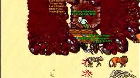 Tibia NoxiousOT Random Pking Video By Redrum