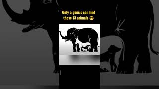Challenge Is Find 13 Animalstest Your Iq Illusion