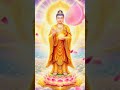 Nhạc Niệm Nam Mô A Di Đà Phật: Giúp Tâm Thanh Thịnh Thư Giãn Và An Lành