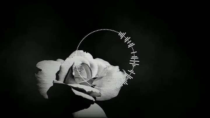 Dark side of the Rose (Kruger X IGNITIOUS Mashup)