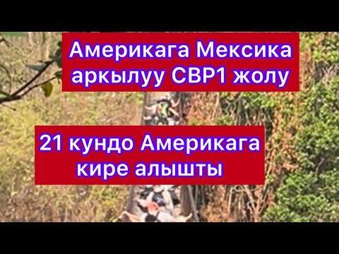 Video: Сальвадорлуктар Мексикага бара алабы?