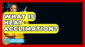 What Is Heat Acclimation? - Weather Watchdog