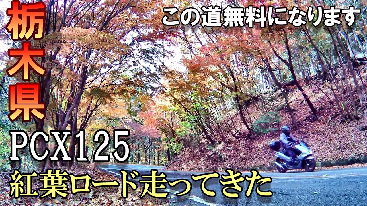Pcx125 栃木の紅葉スポット 秋 日塩もみじラインと龍王峡ラインが無料になります モトブログ 79 Youtube