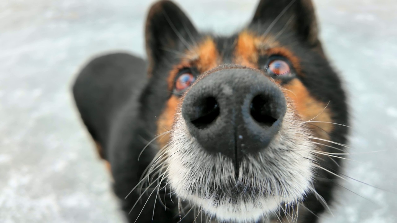 #Славянск. 1 марта 2026г. Утро.