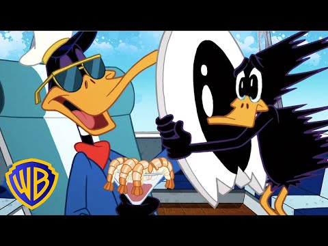 Looney Tunes em Português ?? | Patolino bobinho! | @WBKidsBrasil