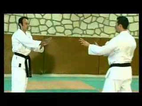 º× Free Watch 3 Major Schools of Okinawa Karate (DVD Volume 1) ==> Uechi-ryu, Goju-ryu, Shorin-ryu