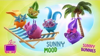 Umore soleggiato | Sunny Bunnies | Cartoni animati per bambini | WildBrain in Italiano