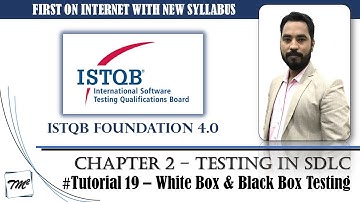 ISTQB FOUNDATION 4.0 | Tutorial 19 | Test Types | White Box Testing | Black Box Testing | TM SQUARE