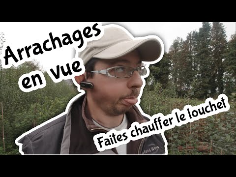 Vidéo: Méthode de lavage des racines : le lavage des racines avant la plantation est-il important ?