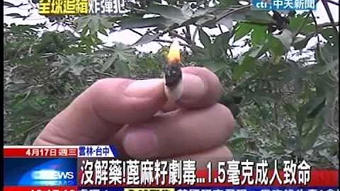 中天新闻》没解药！蓖麻籽剧毒 1.5毫克成人致命 - 天天要闻