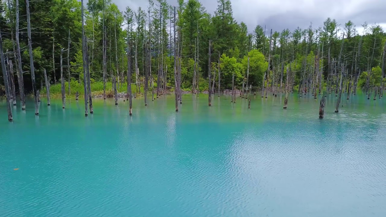 Hers Web クラブメッド 北海道 トマムの旅 サマー編 初めての夏 青い池 Youtube