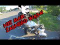 Wąsaty Dzik na eLce i zdane prawko | MotoVlog 41