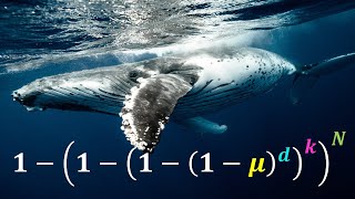 Why don't whales get more cancer? - Peto's Paradox