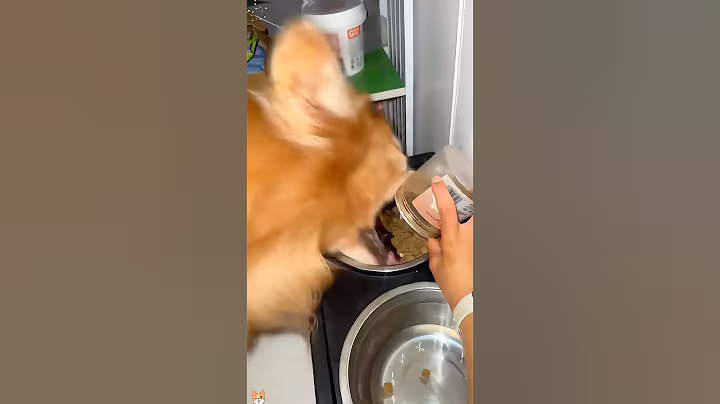 Feeding the dog small bites 😂🐶🐶#fyp #funnyvideos #foryou #animals #viral #dog #dogs  #funnyprank