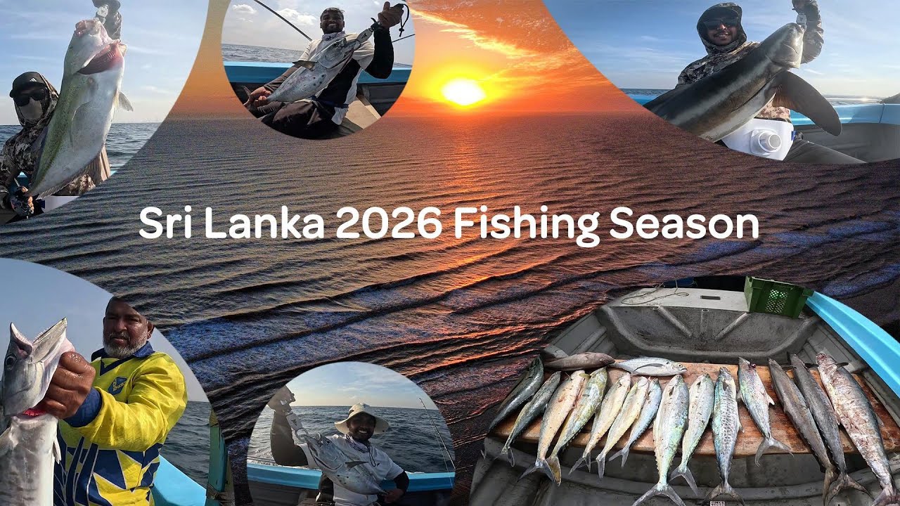 Thumbnail for Sri Lanka 2026 Fishing Season - Two Trolls, One Tradition