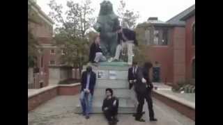 HARLEM SHAKE - Beta Rho Pi Fraternity - Brown University - Chi Pledge Class