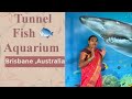 Tunnel fish aquarium in brisbane australia