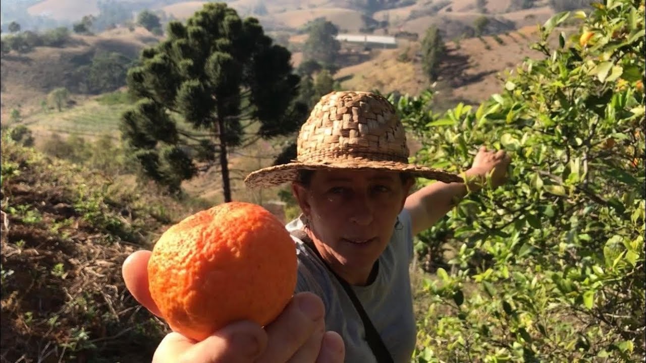 DOCE DE LIMÃO, O AZEDO DOCE, RECEITA DOS ANTIGOS.