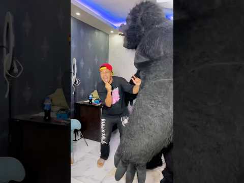 لما سوبر مان ينقذك من الغوريلا الكيري مذيع التيك توك