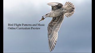 Bird Flight Patterns and Music Online Curriculum Video Preview