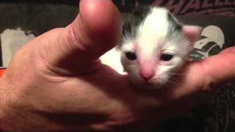 Happy birthday Matt Saunders