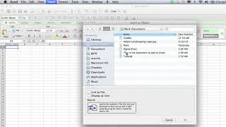 How Do I Embed in Microsoft Excel?