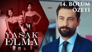 Yasak Elma 14. Bölüm Özeti