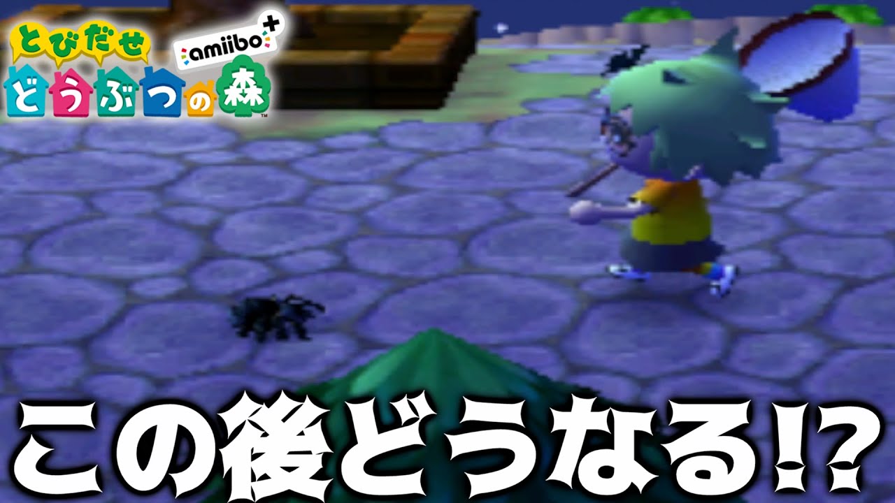 【とび森】開始1分でタランチュラ出現！？この後どうなる！？【とびだせどうぶつの森】