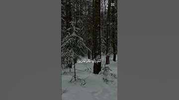 #القرآن_الكريم #اكسبلور #المصحف #تلاوة_خاشعة #يوتيوب #راحة_نفسية