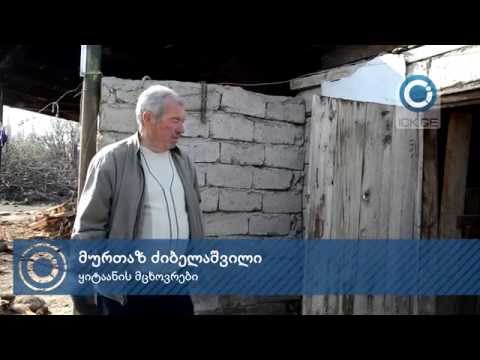 სოფელ ყიტაანის მაცხოვრებლები დაავადებულ საქონელს ყიდიან
