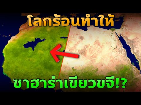 วีดีโอ: ต้นไม้อะไรเขียวขจี?