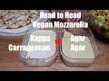 Vegan Mozzarella - Carrageenan vs Agar Agar - Head to Head!