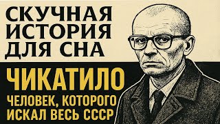 видео: Чикатило — человек, которого искал весь СССР | История для сна картинка: Чикатило — человек, которого искал весь СССР | История для сна