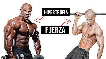 ¿Cuál es la forma más fuerte?