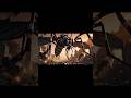 KING KONG vs Giant Aedes aegypti Mosquito | Prehistoric Planet Movie of Survival & Ancient War