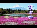 Fuji Shibazakura Festival 2019. Mt.Fuji  #4K #富士山 #芝桜 #富士芝桜まつり