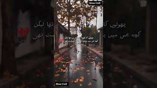 Hawaon ki bhi siyasat thi #PoeyryVibes #HeartfeltWords #ShortsPoetry #TrendingShorts #QissaCraft