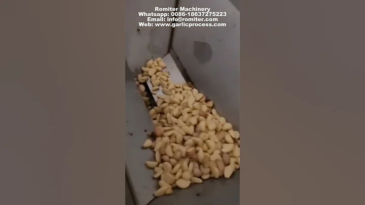 crawler type garlic clove color sorting machine