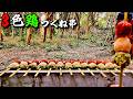 【最終回】3種の味で3倍美味しい3色鶏つくね串【ひみつ基地開拓記Vol.30】