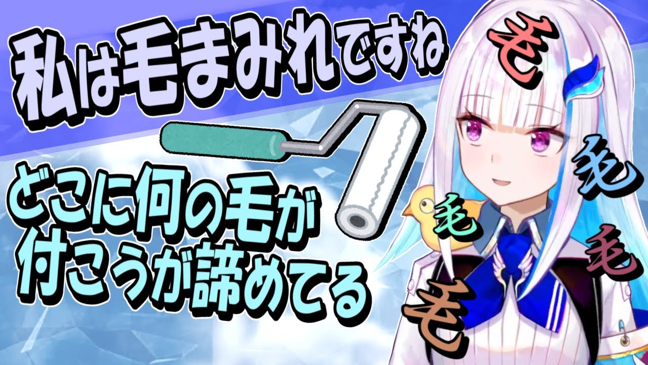 常に何らかの毛で毛まみれになっているリゼ様、コロコロの常習者