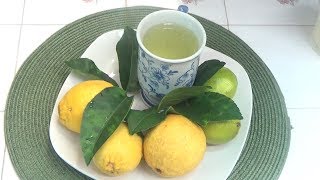 Remedios caseros , te de hojas de limon y sus bondades curativas - YouTube