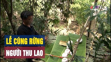 Nghi lễ cúng rừng của người Thu Lao | THLC