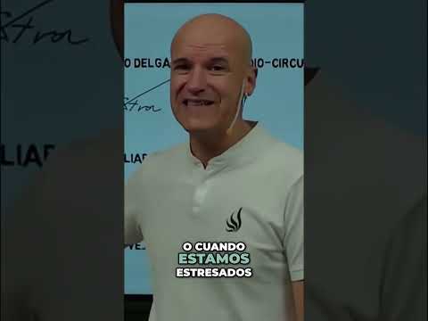 Cuando vivimos con estrés durante mucho tiempo, es habitual buscar alimentos que nos den una