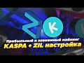 Прибыльный и экономный майнинг KASPA + Ziliqa. Полная настройка на HiveOS, разгон, доходность