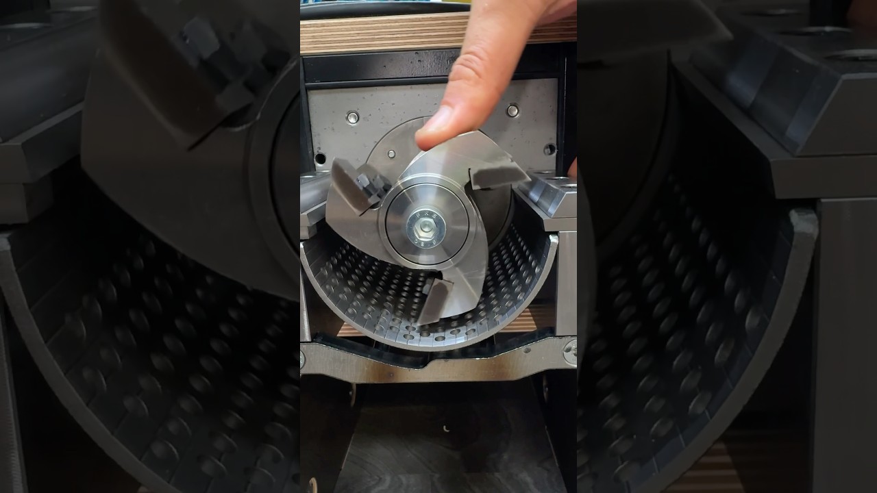 Этот маленький измельчитель &mdash; настоящий зверь 🦁