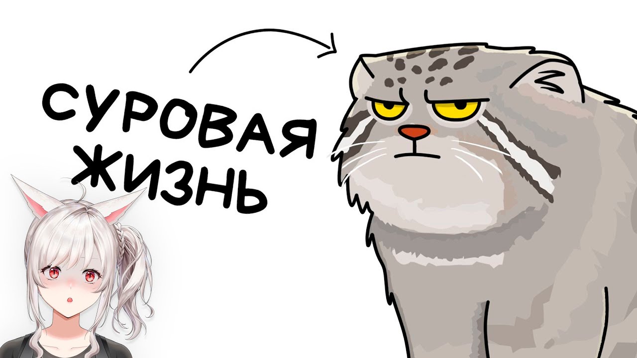 Ты - Манул (И ЭТО ВСЯ ТВОЯ ЖИЗНЬ) | Реакция veifir на сетоникса ( Setonix )
