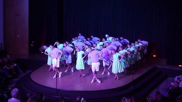 Chi Omega & Sigma Phi Epsilon - Follies 2019