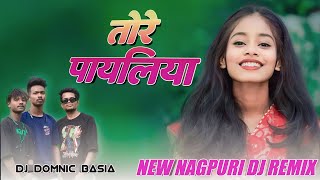 Nagpuri Dj Remix | Nagpuri Dj | Nagpuri Dj Song| New Nagpuri Dj Remix Song| Dj Domnik Nagpuri Song|
